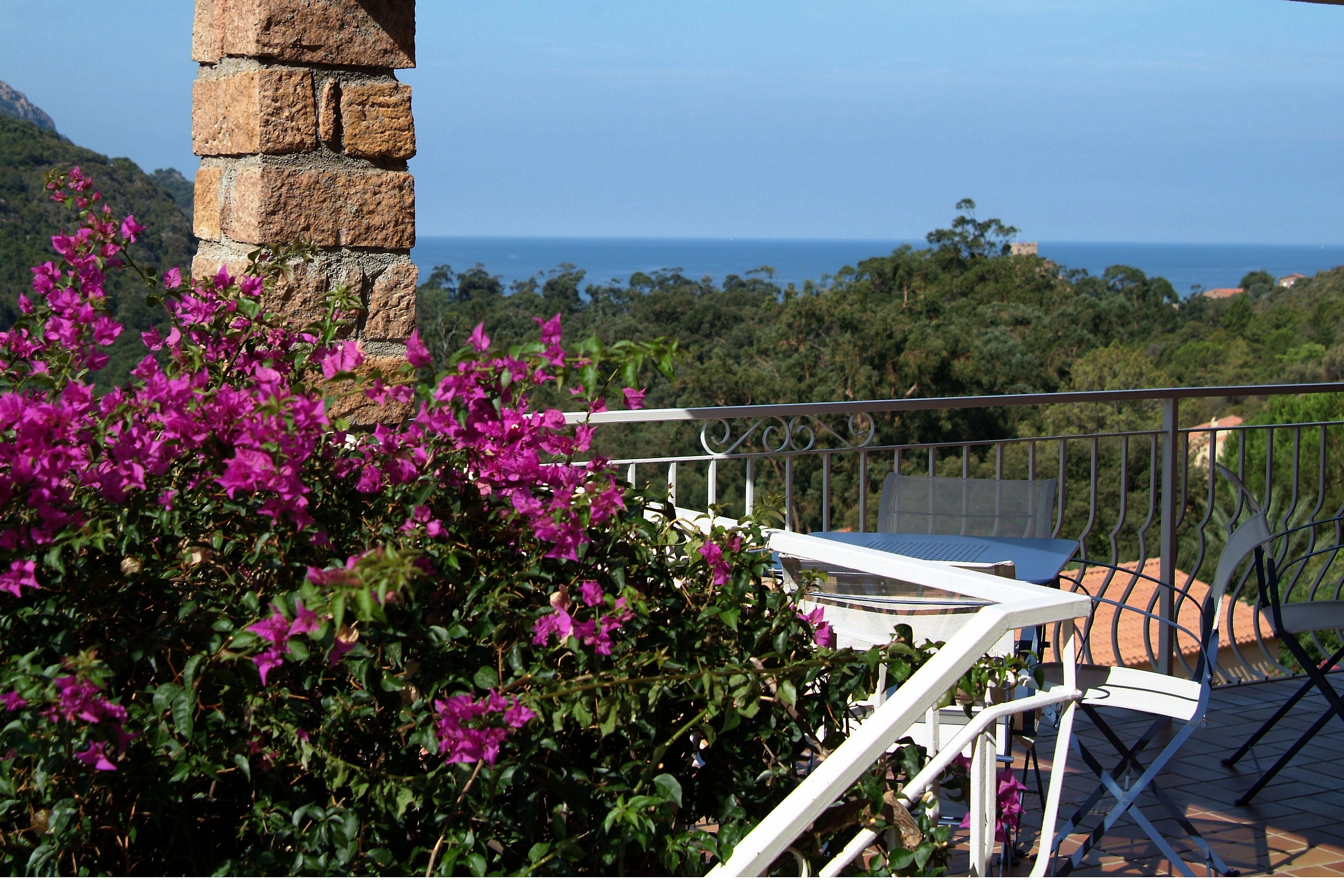 Capo D'Orto - Porto - Corse Hotel Exterior photo