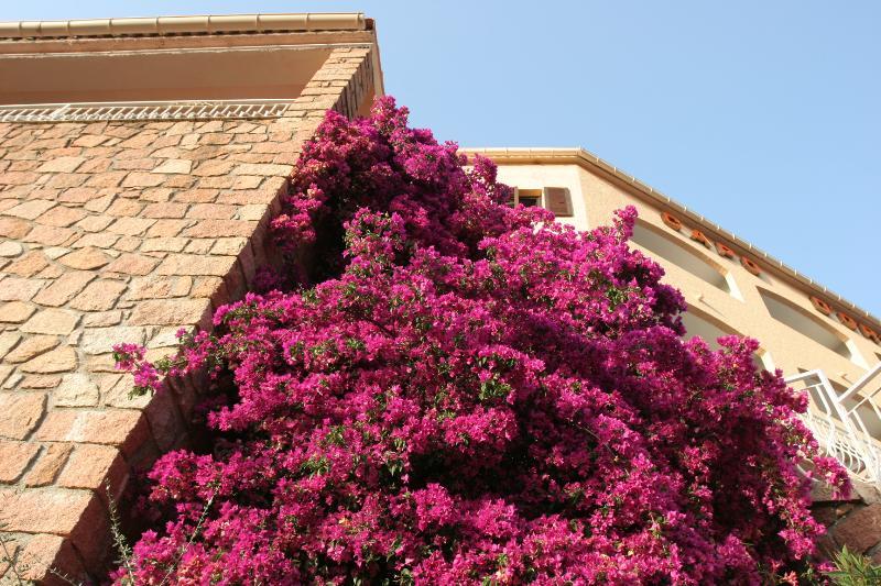 Capo D'Orto - Porto - Corse Hotel Exterior photo